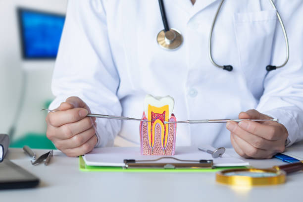 Best Emergency Gum Treatment in Flanders, NJ